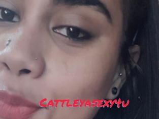 Cattleyasexy4u