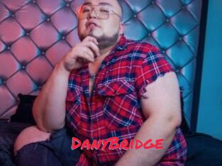 DanyBridge