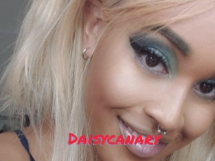 Daisycanary