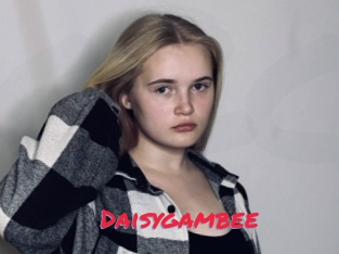 Daisygambee