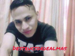 Destructordealmas