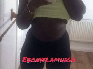 Ebony_flamingo