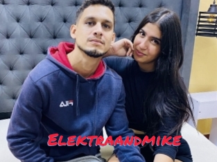 Elektraandmike