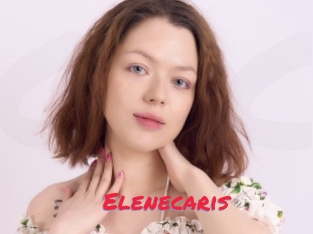 Elenecaris