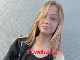 Elvabigge