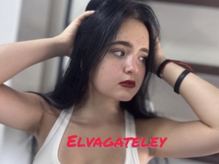 Elvagateley