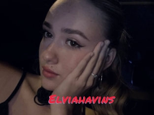 Elviahavins