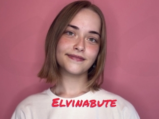 Elvinabute