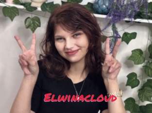 Elwinacloud