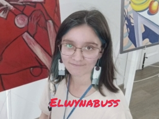 Elwynabuss