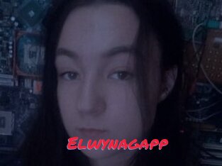 Elwynagapp