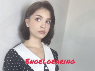 Engelgearing