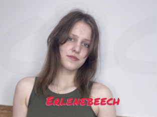 Erlenebeech