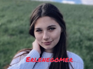 Erlenegomer