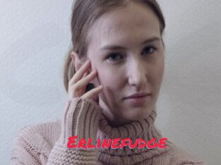 Erlinefudge