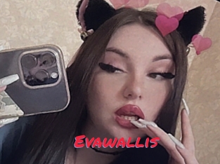 Evawallis