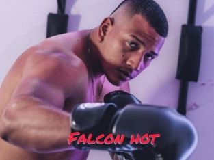 Falcon_hot