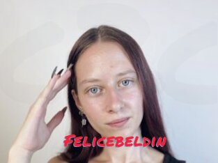 Felicebeldin