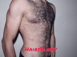 HairyBunny