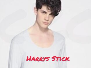 Harrys_Stick