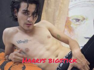 Harrys_bigstick