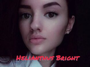 Helianthus_Bright