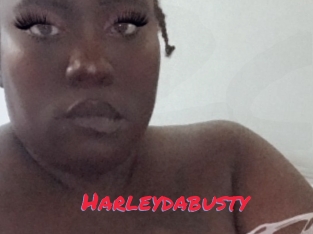 Harleydabusty