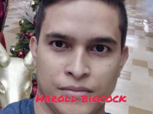 Harold_bigcock