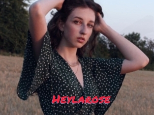 Heylarose