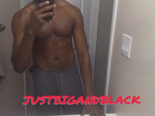 JUSTBIGANDBLACK