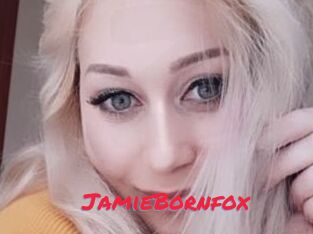 JamieBornfox