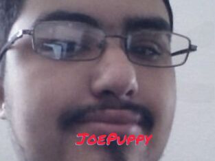 JoePuppy