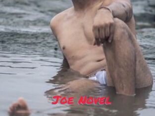 Joe_Novel