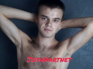 JoshHartnet