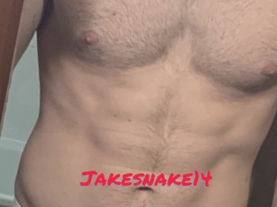 Jakesnake14