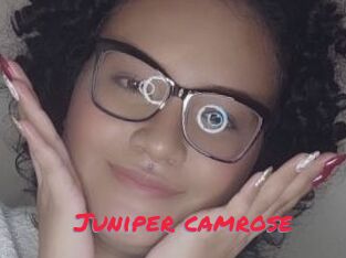 Juniper_camrose