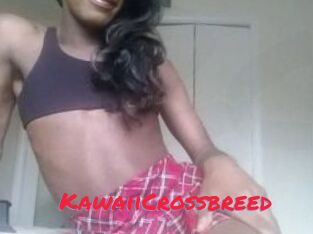 Kawaii_Crossbreed