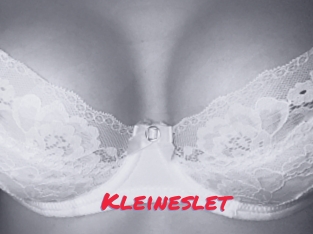 Kleineslet