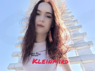 Kleinmird