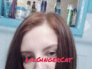 LilGingerCat