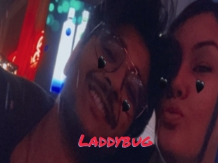 Laddybug