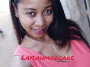 Laylahmorgane