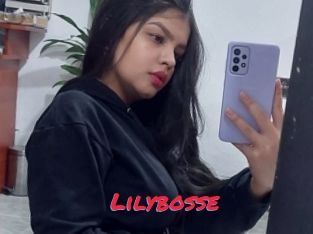 Lilybosse