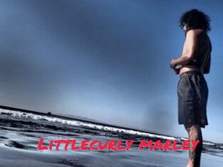 Littlecurly_marley