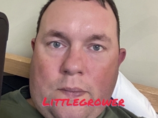 Littlegrower