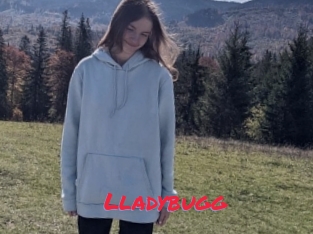 Lladybugg