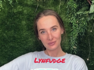 Lynfudge