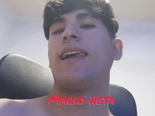 Mario_neta