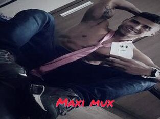 Maxi_mux