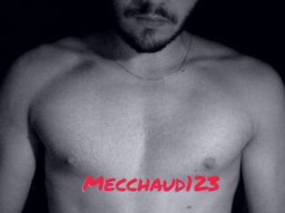 Mecchaud123